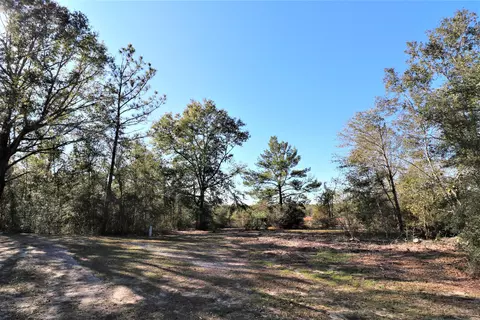 1679 Salem Dr, Chipley, FL 32428 photo 10