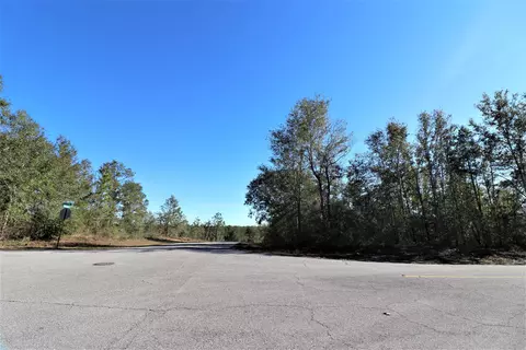 1679 Salem Dr, Chipley, FL 32428 photo 46