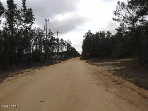 5002 Tiger Trl, Chipley, FL 32428 photo 23