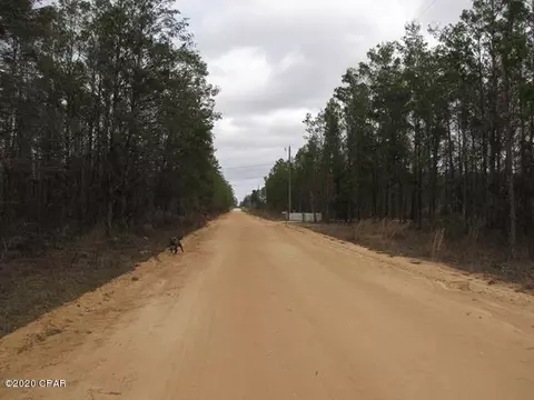 5002 Tiger Trl, Chipley, FL 32428 photo 22