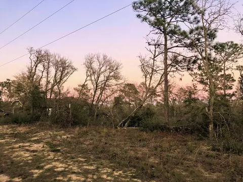 3675 Pinder Ct, Chipley, FL 32428 photo 30