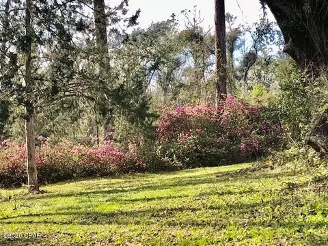 2060 3rd Ave, Sneads, FL 32460 photo 23