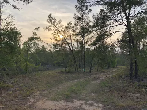 5018 Travis Trl, Chipley, FL 32428 photo 2