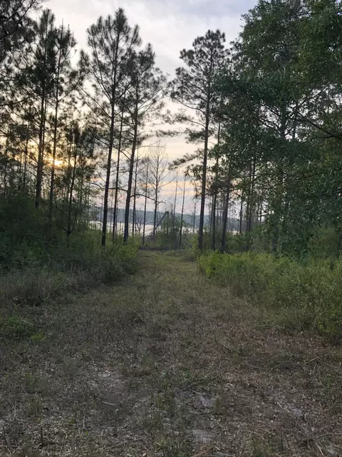 5018 Travis Trl, Chipley, FL 32428 photo 6