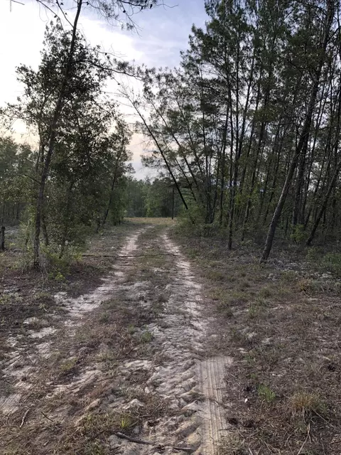 5018 Travis Trl, Chipley, FL 32428 photo 8