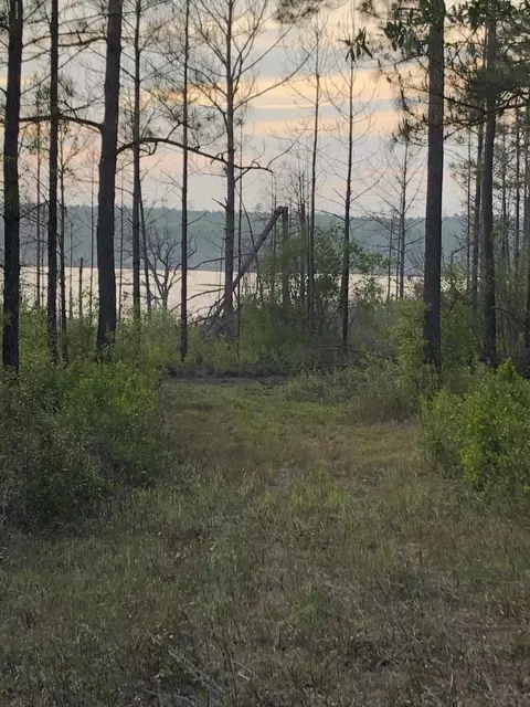 5018 Travis Trl, Chipley, FL 32428 photo 7