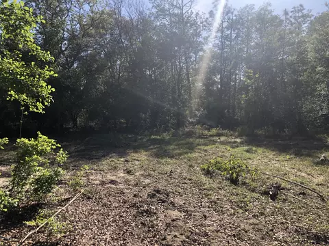 3385 Cardinal Ln, Chipley, FL 32428 photo 29