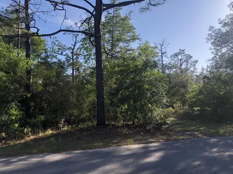 3385 Cardinal Ln, Chipley, FL 32428 photo 10