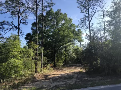 3385 Cardinal Ln, Chipley, FL 32428 photo 7