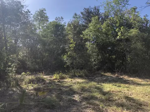 3385 Cardinal Ln, Chipley, FL 32428 photo 31