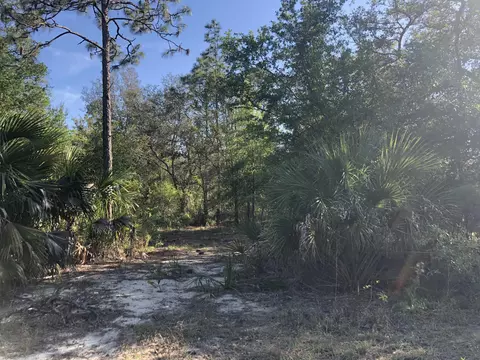 3385 Cardinal Ln, Chipley, FL 32428 photo 11
