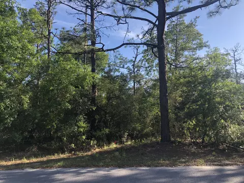 3385 Cardinal Ln, Chipley, FL 32428 photo 6