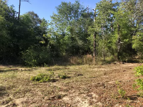3385 Cardinal Ln, Chipley, FL 32428 photo 8