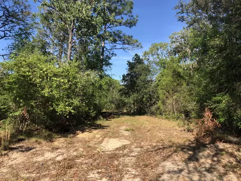 3385 Cardinal Ln, Chipley, FL 32428 photo 1