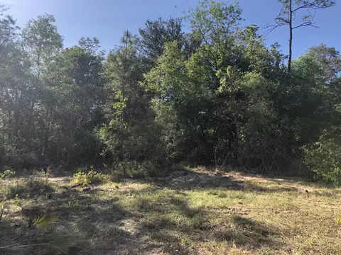 3385 Cardinal Ln, Chipley, FL 32428 photo 30