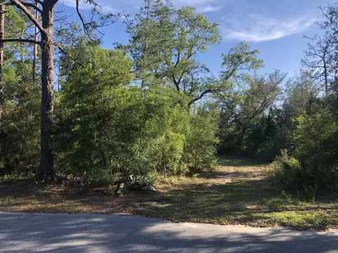 3385 Cardinal Ln, Chipley, FL 32428 photo 2