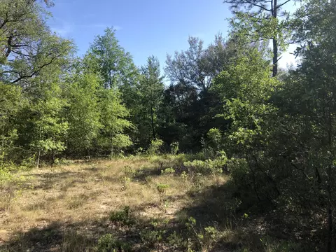 3385 Cardinal Ln, Chipley, FL 32428 photo 28