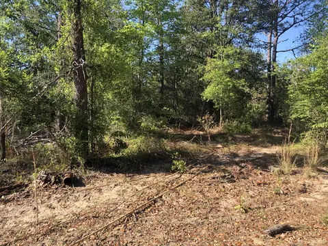 3385 Cardinal Ln, Chipley, FL 32428 photo 12