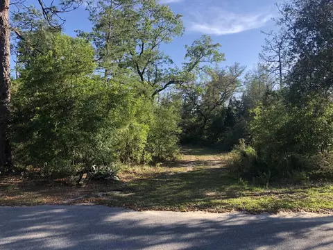 3385 Cardinal Ln, Chipley, FL 32428 photo 5