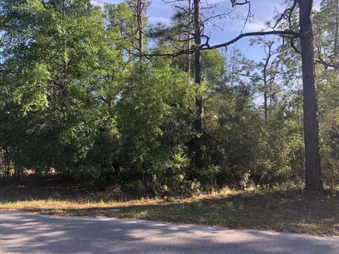 3385 Cardinal Ln, Chipley, FL 32428 photo 9