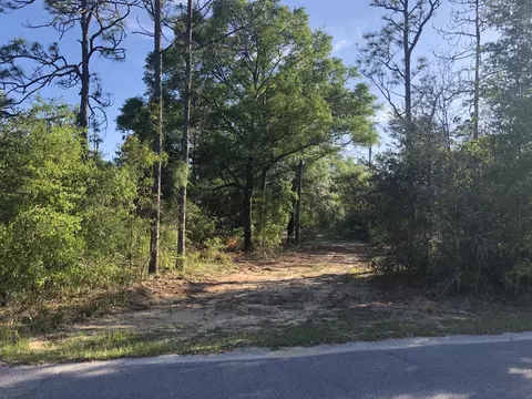 3385 Cardinal Ln, Chipley, FL 32428 photo 3