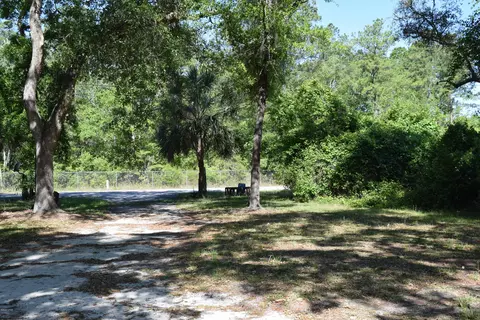 58 Oakcrest Dr, Freeport, FL 32439 photo 2