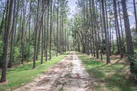 1797 Gainer Rd, Chipley, FL 32428 photo 35