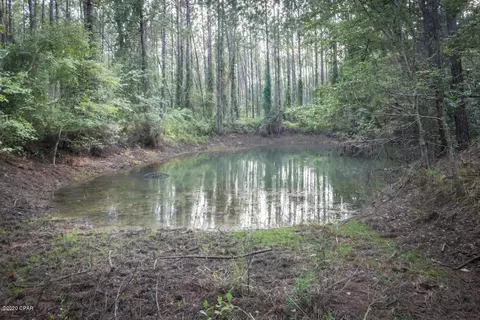 1797 Gainer Rd, Chipley, FL 32428 photo 33