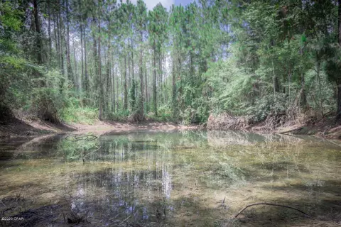 1797 Gainer Rd, Chipley, FL 32428 photo 36
