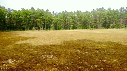 5186 Casper Dr, Chipley, FL 32428 photo 4