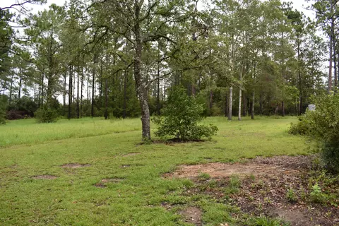 686 Corbin Rd, Chipley, FL 32428 photo 36
