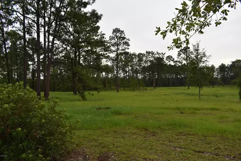 686 Corbin Rd, Chipley, FL 32428 photo 40