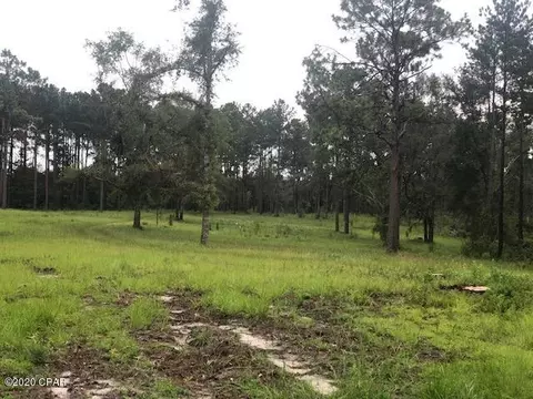 686 Corbin Rd, Chipley, FL 32428 photo 35