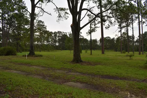 686 Corbin Rd, Chipley, FL 32428 photo 39