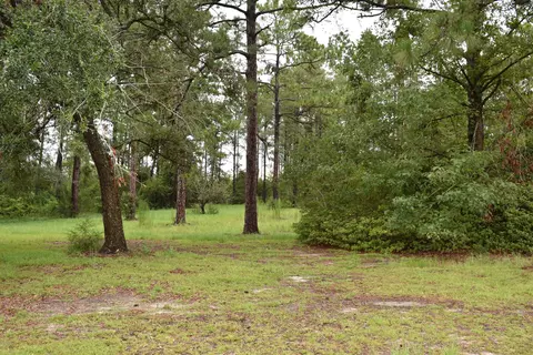 686 Corbin Rd, Chipley, FL 32428 photo 34