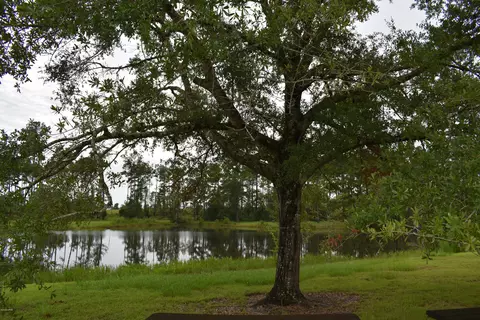 686 Corbin Rd, Chipley, FL 32428 photo 2