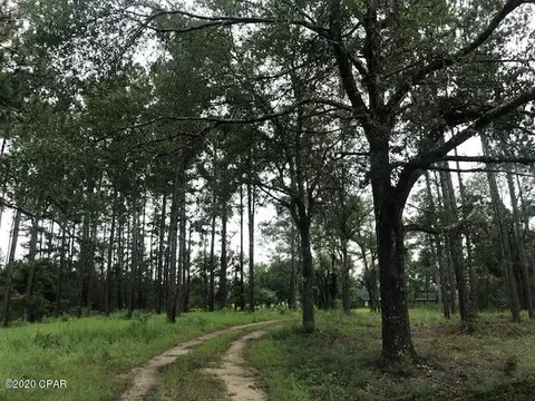 686 Corbin Rd, Chipley, FL 32428 photo 44