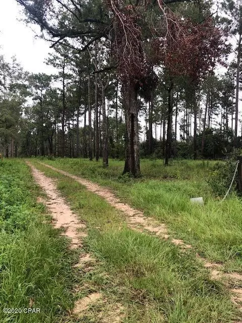 686 Corbin Rd, Chipley, FL 32428 photo 43