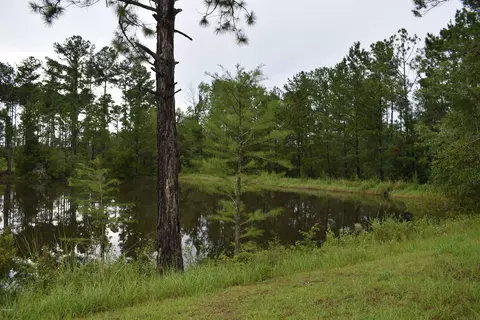 686 Corbin Rd, Chipley, FL 32428 photo 31