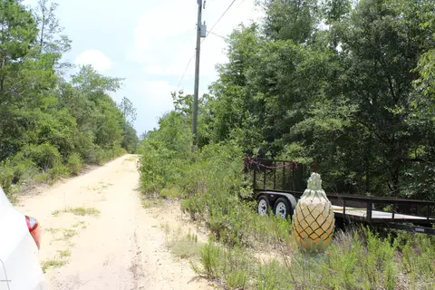tbd N Shore Dr, Chipley, FL 32428 photo 9