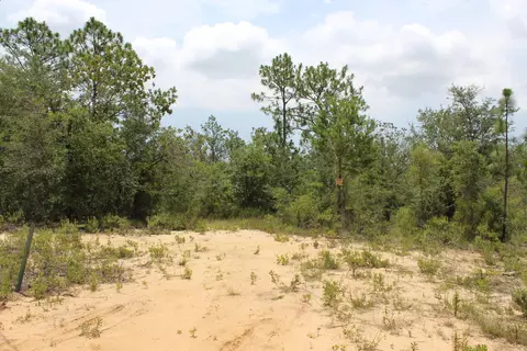 tbd N Shore Dr, Chipley, FL 32428 photo 11