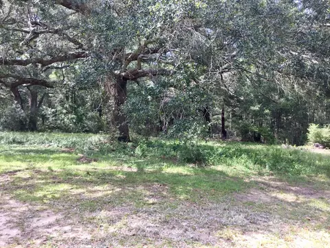 1968 Lewis Rd, Bonifay, FL 32425 photo 6