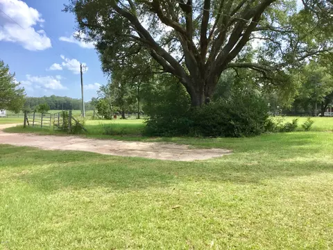 1968 Lewis Rd, Bonifay, FL 32425 photo 10