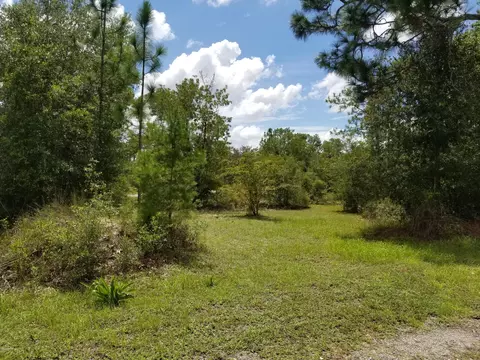 3324 Preakness Pl, Chipley, FL 32428 photo 10