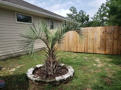 3962 Falcon Dr, Chipley, FL 32428 photo 27