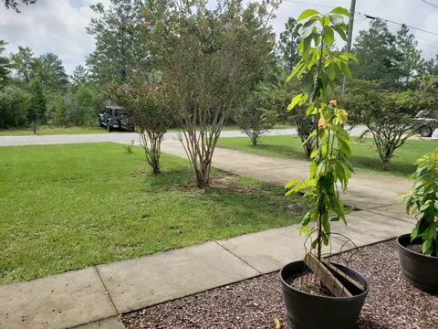 3962 Falcon Dr, Chipley, FL 32428 photo 42