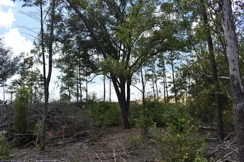 6716 Highway 77, Chipley, FL 32428 photo 6