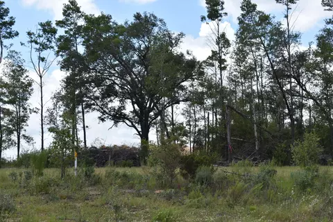 6716 Highway 77, Chipley, FL 32428 photo 9
