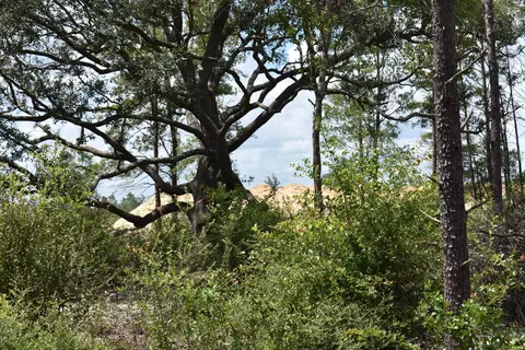 6716 Highway 77, Chipley, FL 32428 photo 1