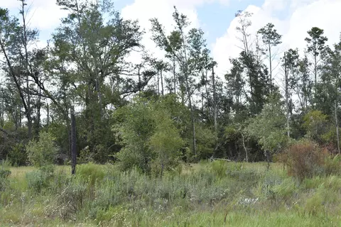 6716 Highway 77, Chipley, FL 32428 photo 10